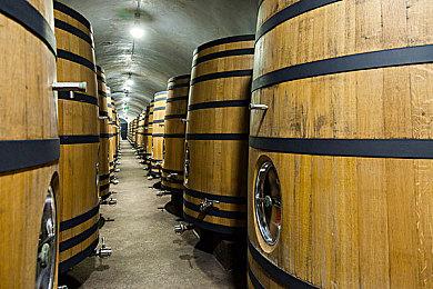 《铁拳8》“花郎”角色宣传片公开 预计登陆全平台